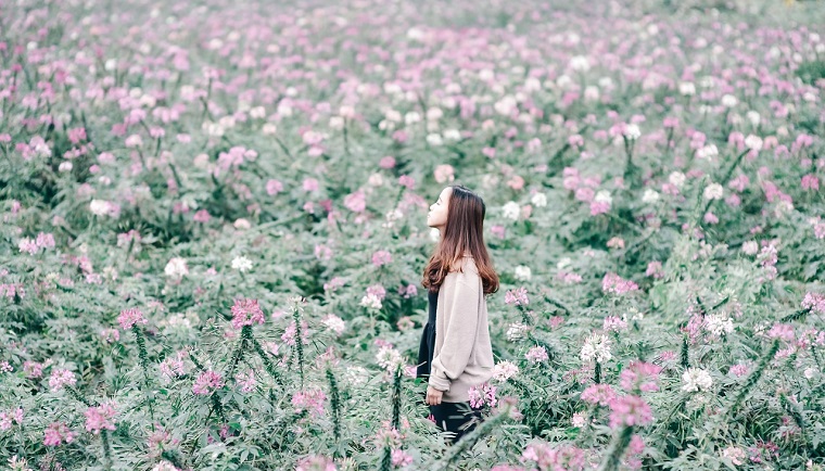 生命の樹 セフィロトの樹 treeoflife treeofsmile 生命の樹カウンセリング Tree of Life Counseling 生命の樹リーディング 七夕 女性 花畑