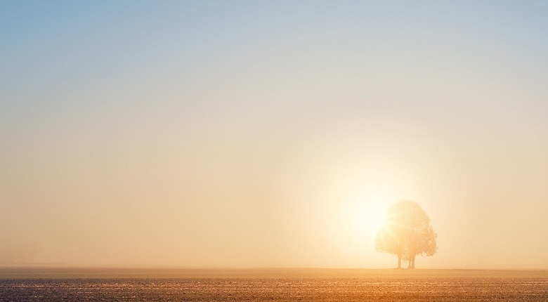 生命の樹 セフィロトの樹 treeoflife treeofsmile 生命の樹カウンセリング Tree of Life Counseling 生命の樹リーディング 冬